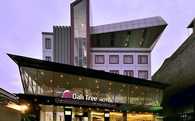Oak Tree Urban